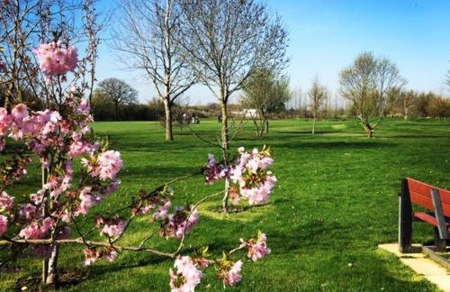 Silverstone Golf Club And Hotel - Foto 63