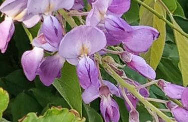 Giaglakis Rooms - Foto 74