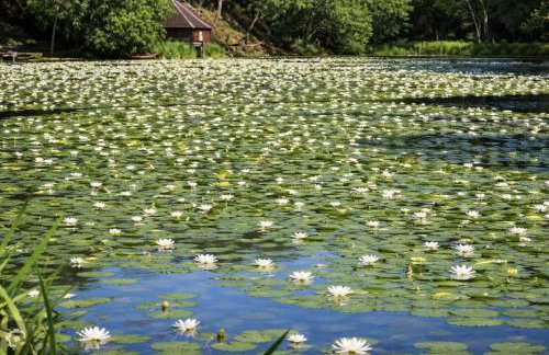 Taigh Beag 3 Birnam Place Pitlochry - Foto 10