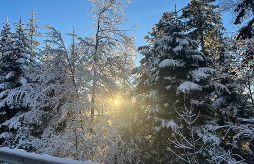 Entre Montagnes et lacs Gites - Foto 19