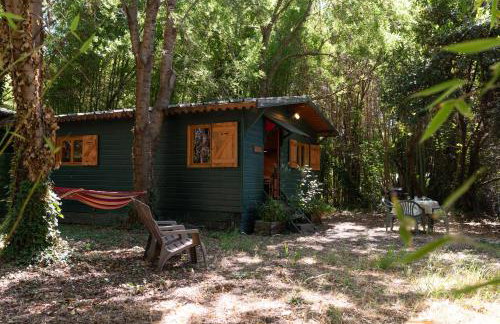 Gite Du Mas De L'horte Gafet - Foto 4