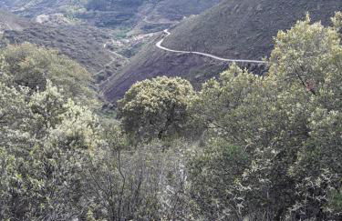 Casa Rural Costanilla - Foto 1