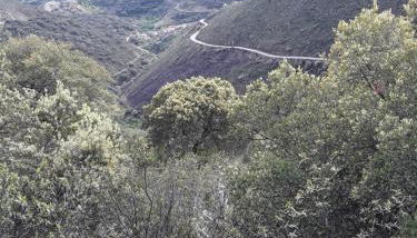 Casa Rural Costanilla - Foto 1, Other