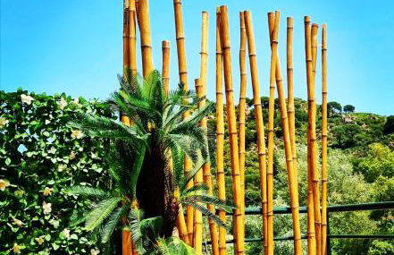 Mirador del Lago - Foto 61