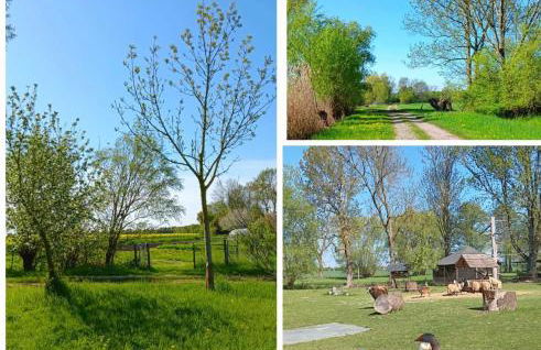 Ferienwohnung Domaene Kermen - Foto 37