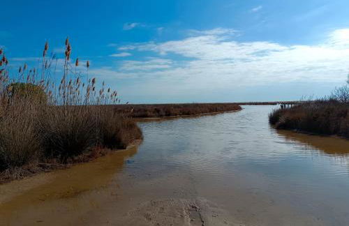 Rincón del Delta, apartamento en el Delta del Ebro, Playa Trabucador Amposta, Tarragona - Foto 21