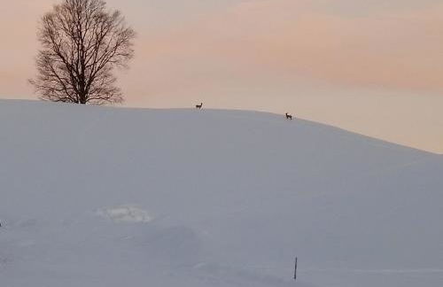 Ferienhof Am Holderbusch - Foto 14