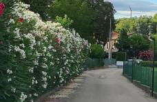 Casaflora_corteventurelli31 - Foto 31