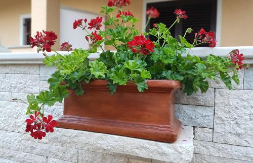 Comfort Apartment Smokva - Foto 30