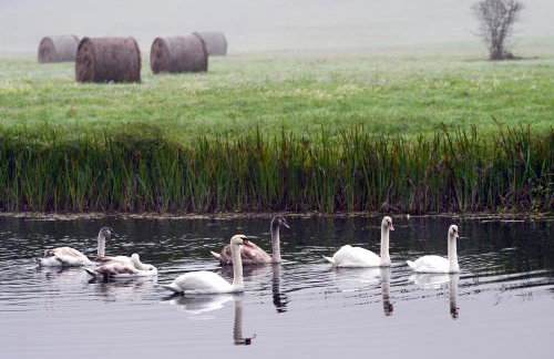 Riverside Apartments - Foto 38