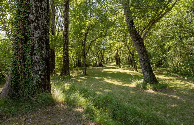 La Chambaillarde - Foto 33