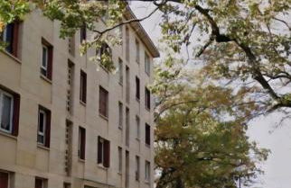 L'harmonie d'Eden Harmony of Eden - Foto 9