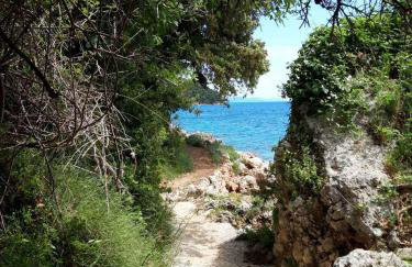 APARTMANI NOVA - Photo 16