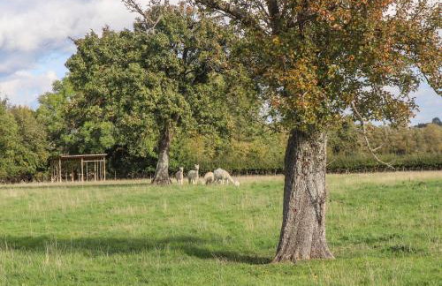 Phoenix House - Foto 55