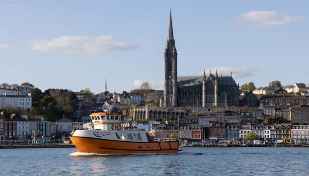 Cork Harbour Boat Cruise - Foto 3