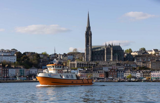 Cork Harbour Boat Cruise - Foto 3