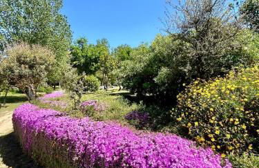 Oasi di pace e Relax - Foto 7