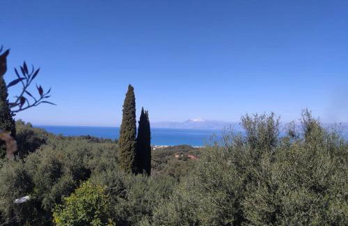 Totolos home in Lazaratika Corfu - Foto 20