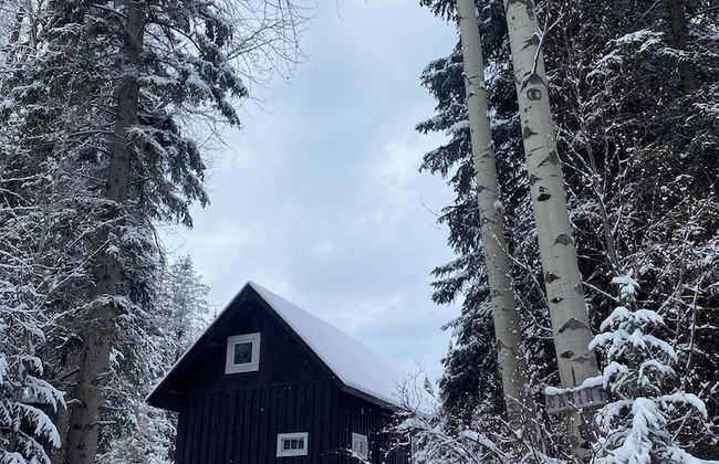 Rustic Beaverfoot Lodge Basic Cabin - Photo 29