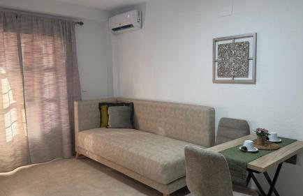 Brisa Marina Apartamento con vistas al mar - Foto 11