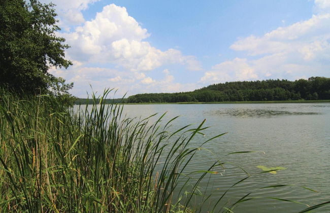 Log Cabin by Fahrsee With Lake Sauna - Foto 11