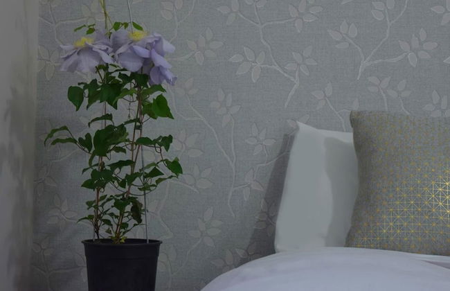 Kea Apartments - Foto 54