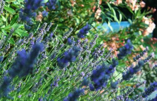 Villa Breg - Photo 44