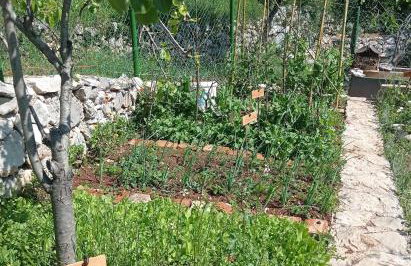 Casa Delle Olive - Foto 19