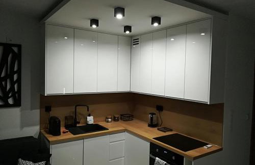 Apartament Wrocław Centrum Dorzecze Legnickiej - Photo 24