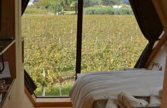 Glamping Alvearium Alturis - Foto 47