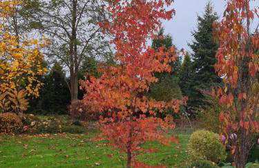 Sowi Dworek - Foto 56