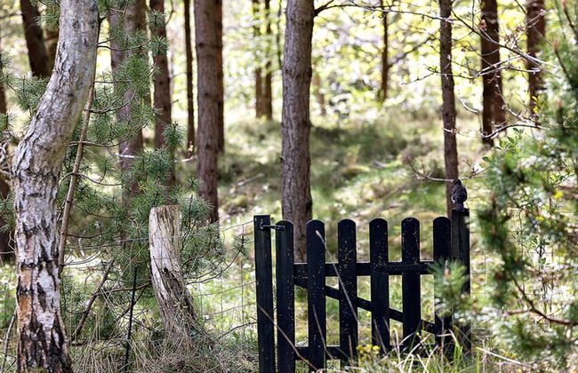 "Amabel" - 200m from the sea - Foto 3