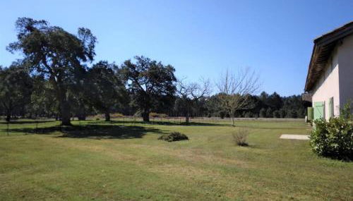 LE PETIT FROUAS NORD - Foto 2, Garden