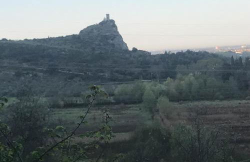 Calci - dal monte al mare - Foto 14