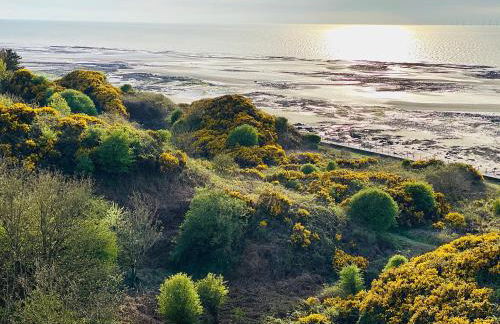 Ritson Wharf - Foto 13