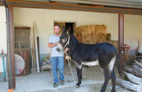 Azienda Agrituristica Pericle - Foto 57