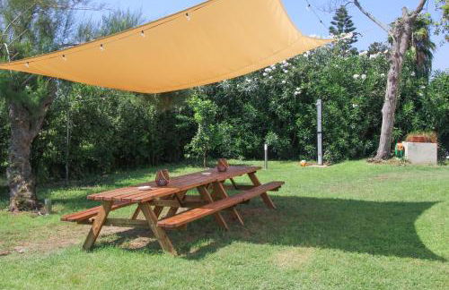 Vacuna Signature - Foto 10