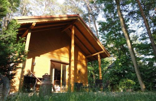 Wald und Wohlsein - Foto 1