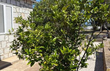 Marco Polo House - Foto 47