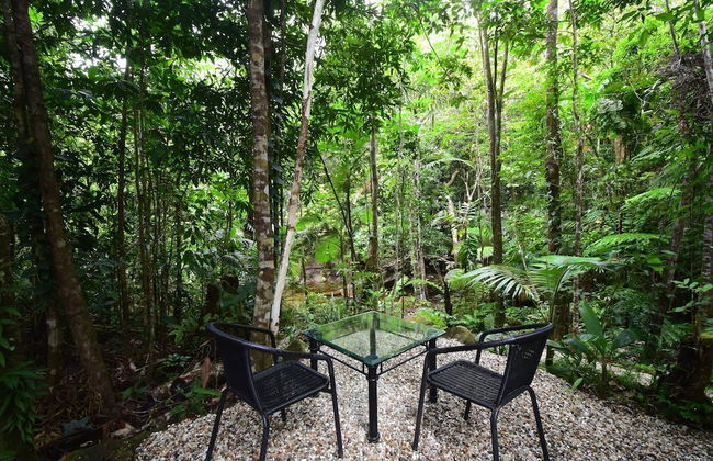 Daintree Cascades - Foto 27