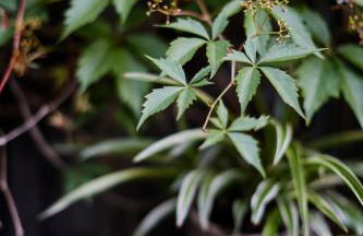 Agroturystyka Akacjowe Zacisze - Foto 67