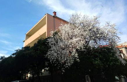 Split Symphony Garden: Modern, new Apartment (4+1), 5 min walk to ˝Firule˝ SAND BEACH, 12 min walk to CITY CENTER - Foto 10