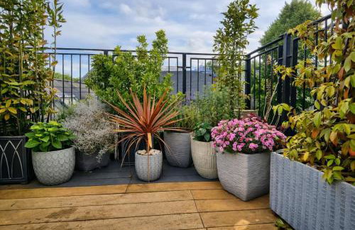 Highgate Maisonette with Roof Terrace - Foto 24