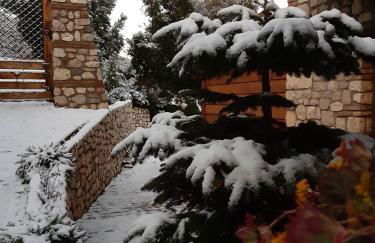 CHALET Σπιτι στο βουνο - Foto 20