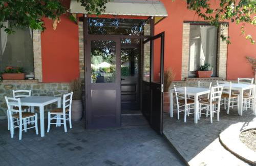 Società Agricola F.lli Angelucci - Foto 29