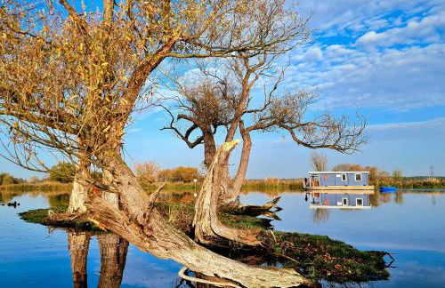 Marina Zernsdorf - Foto 53