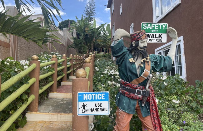 Pirate Palms - Foto 42