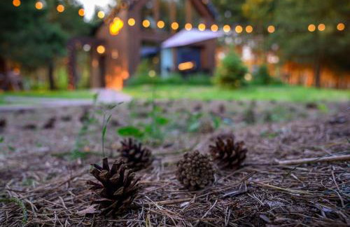 Dziupla House - Foto 59