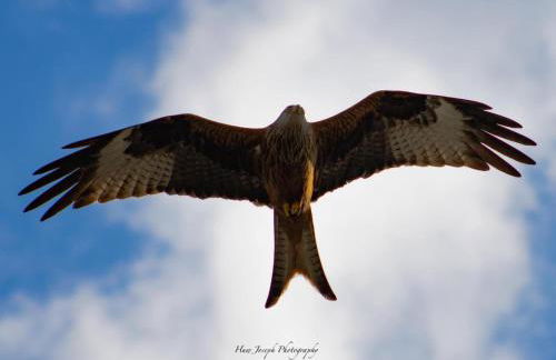 Little Cottage of the Beacons - Foto 38