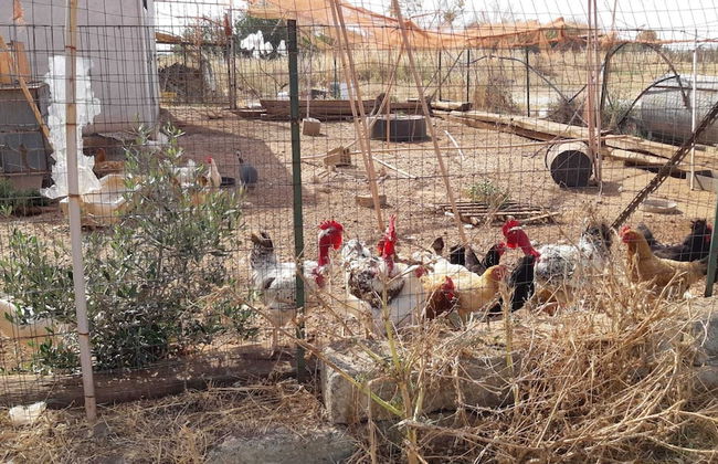 Agriturismo Vivinatura - Foto 44